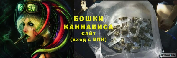 амф Покачи