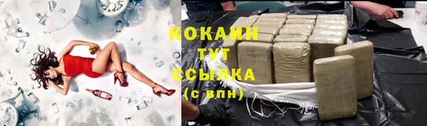 амф Покачи