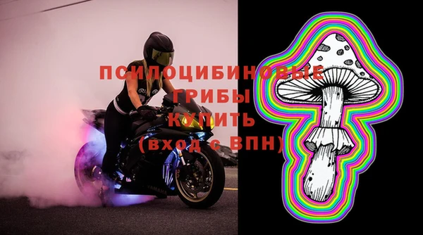индика Покровск