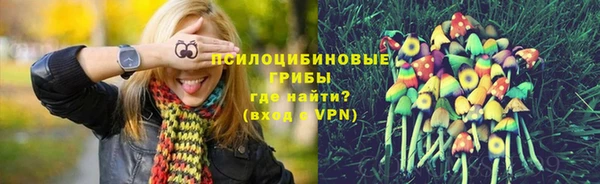 индика Покровск