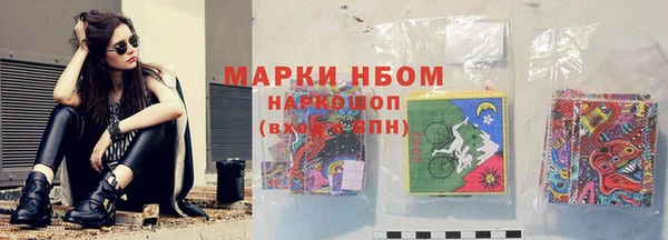 амф Покачи
