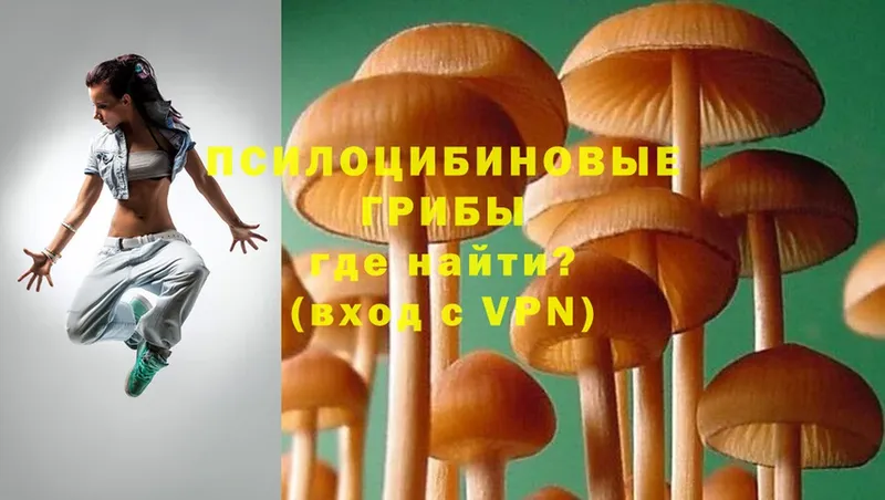 Галлюциногенные грибы Psilocybe  Лакинск 